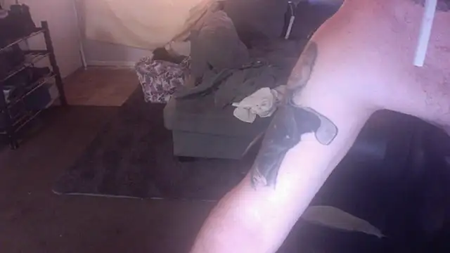 palidin1 Live XXX Chat