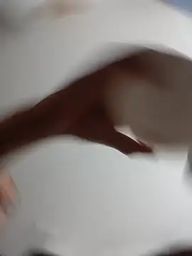 KarinRoss' Live XXX Chat