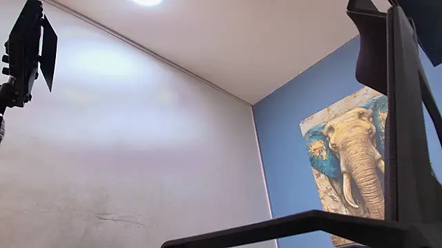 צ'אט XXX בשידור חי של ADAM_CUMS