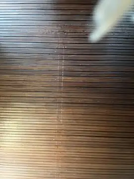 PamelaJonsom_ live XXX chat