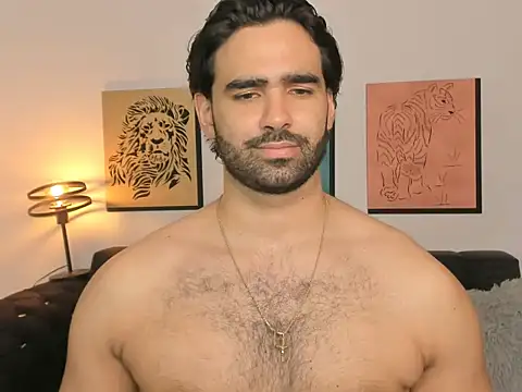 Brad_Martinn Webbikameraesitys