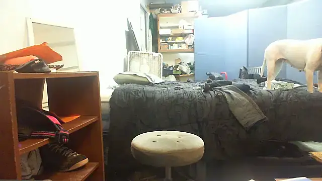 Онлайн чат XXX SlickDickyadown
