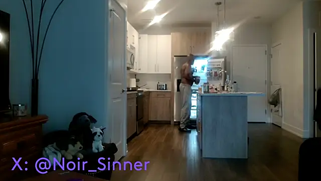 Show webcam de sinnernoir