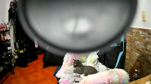 AngelaQueen_ XXX чат на живо