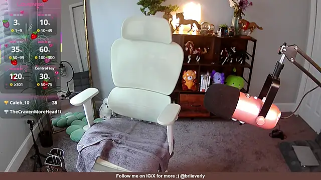 Show webcam de Briieverly