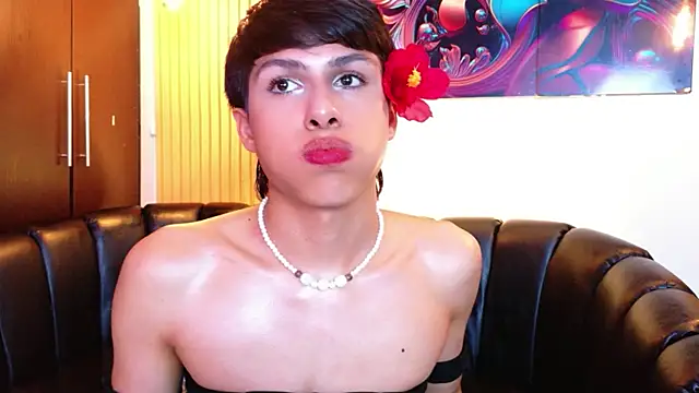 Evans_Robinsonn Webbikameraesitys