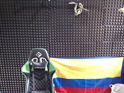 Gymbro42のウェブカメラショー