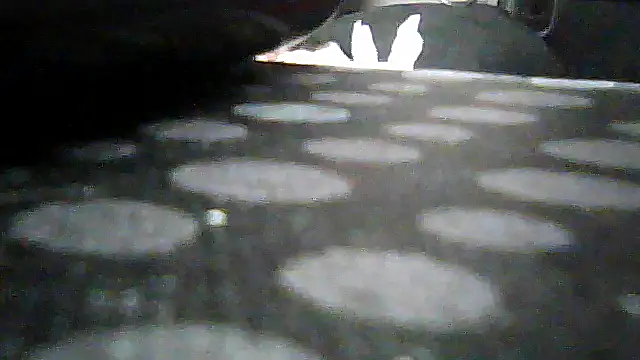 SirFrankonde live XXX chat