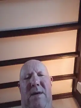 Tomsskyyn Webbikameraesitys