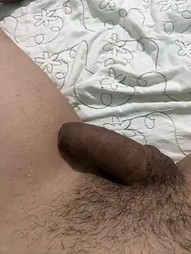 Show webcam de dgofx
