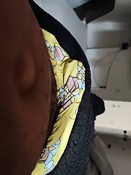 Show modela Bartoloparica na web-kameri