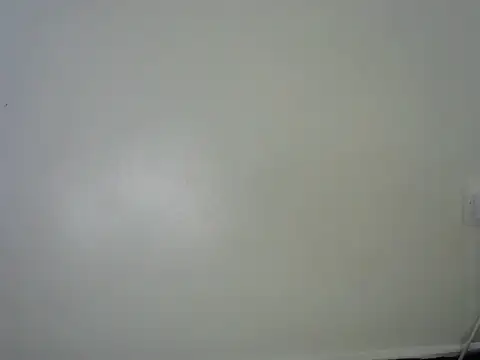 Chatroom XXX en direct de ebony_bbw254