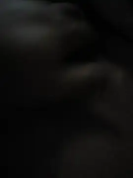 wild69fucker 웹캠 쇼