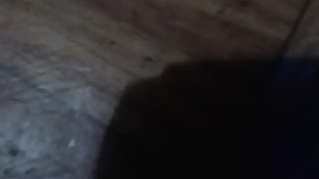 Živý XXX chat CharleyReidy