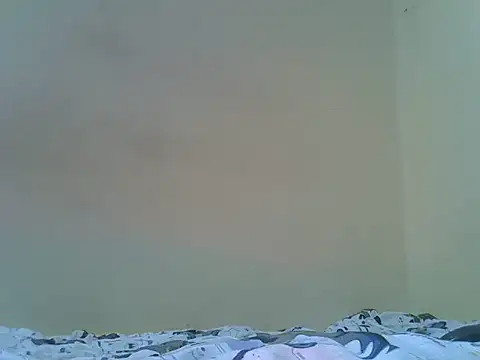 big_bootty96's Live XXX Chat