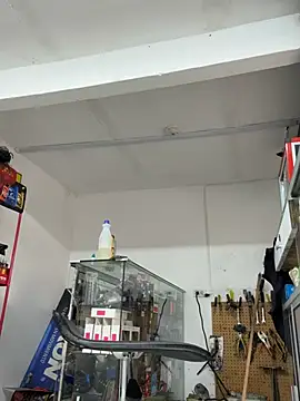Webkamerová show Paul22cm-