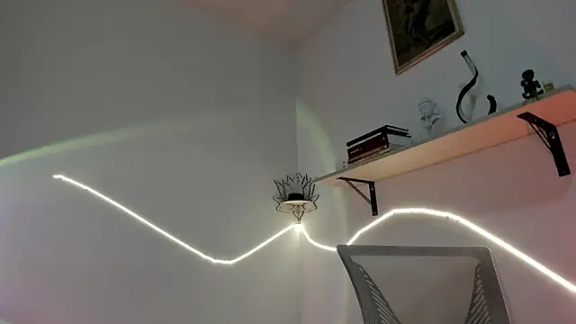 عرض كام srghost333