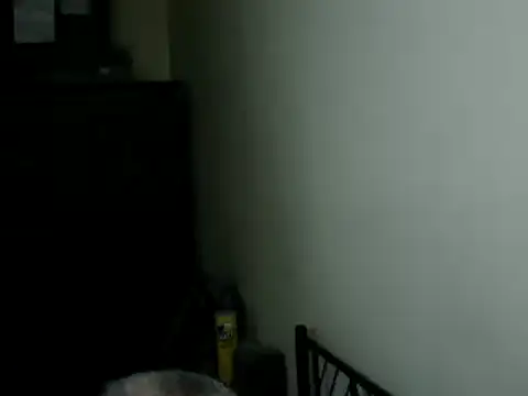 Show de 100Tauros na webcam