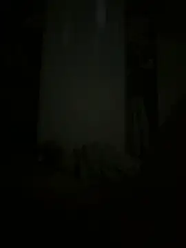 kotkite Live XXX-Chat