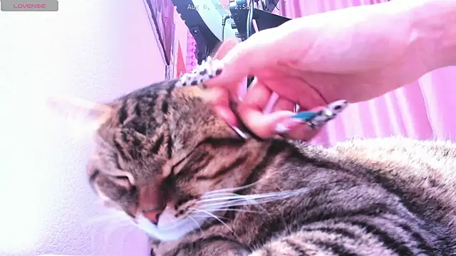 ashleywowmeow Obrolan Langsung XXX