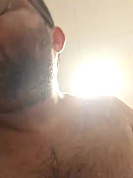 Javier_bear Chat XXX live