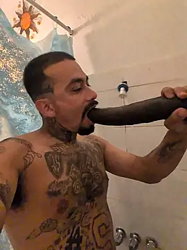 Show webcam de Cnutt310