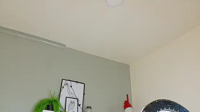 Dulcesexy__ élő XXX-chatje