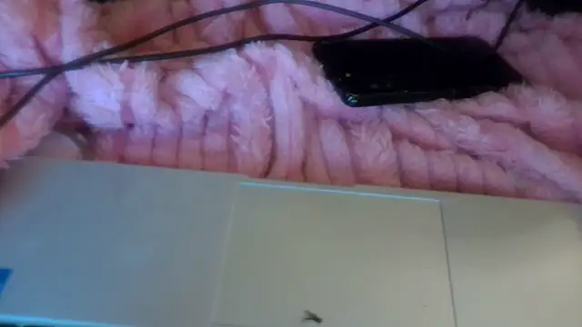 LillithVice live XXX chat