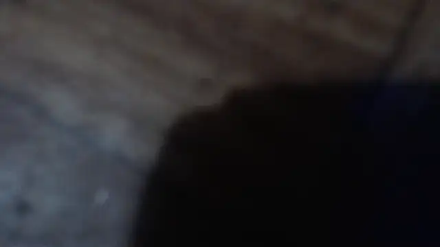 Chat XXX en directo de CharleyReidy