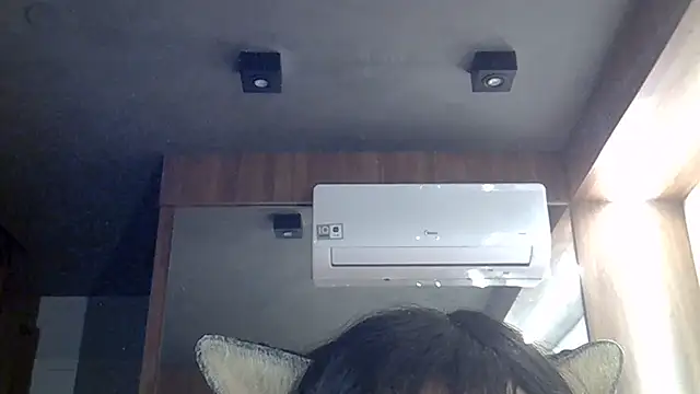 Show de webcam de SkinnyKitten