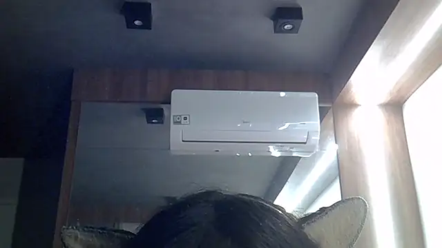 SkinnyKittenn Live XXX chat