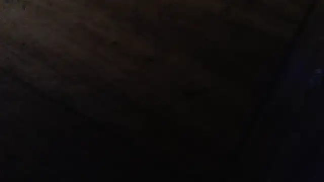 CharleyReidyのライブXXXチャ  ット