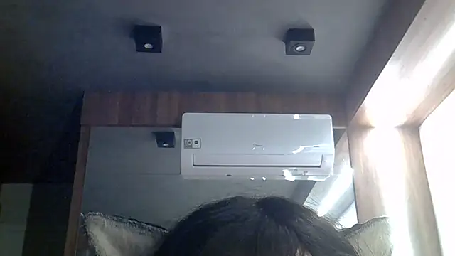 Show de webcam de SkinnyKitten