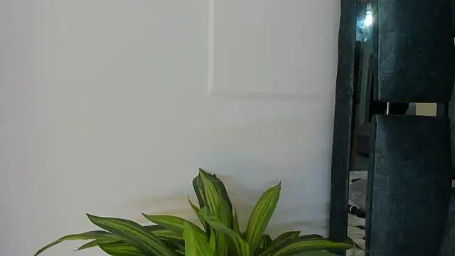 Natasha028_ 라이브 XXX 채팅