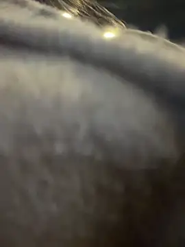 Cami_Leon2のライブXXXチャット