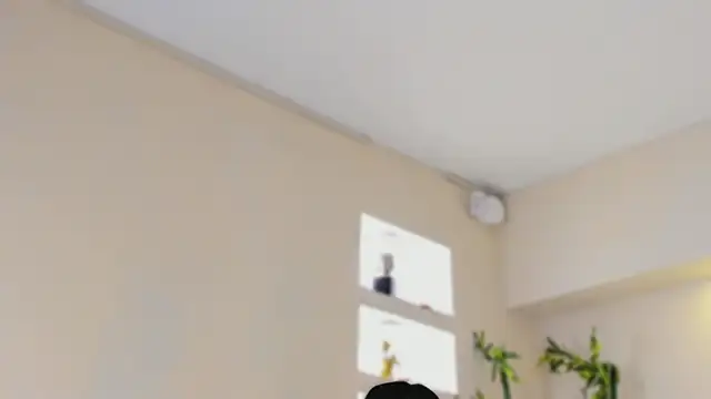 Chat +18 de GeorginaReyes ao vivo