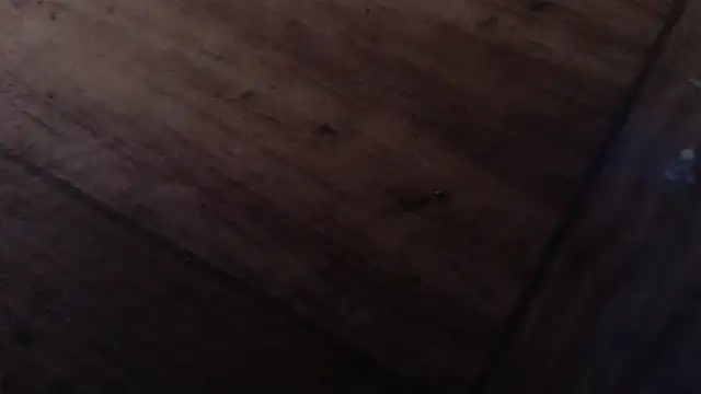 CharleyReidy Live XXX-Chat