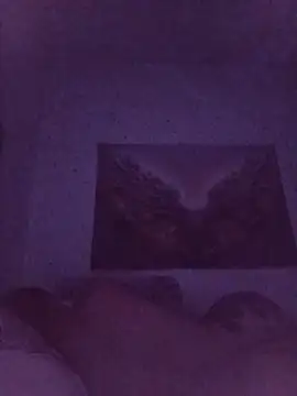 RoxyTattooo69 라이브 XXX 채팅