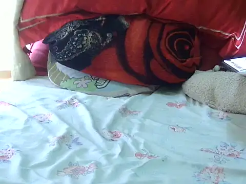 Chat XXX ao vivo de Tinderella