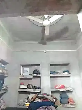 Loomaraj Live XXX-chat