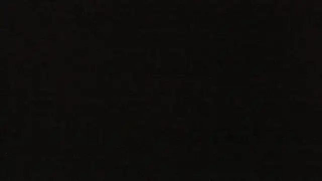 BrendaWildd live XXX chat