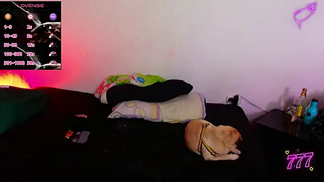 tiancam live XXX chat