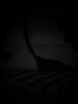 XXX chat uživo modela MeladoDiMel