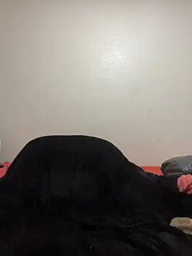 9blk – Naživo XXX chat
