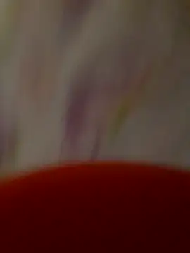 Chat XXX ao vivo de -Tara-a