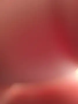 joeyriddle1 Webcam Show