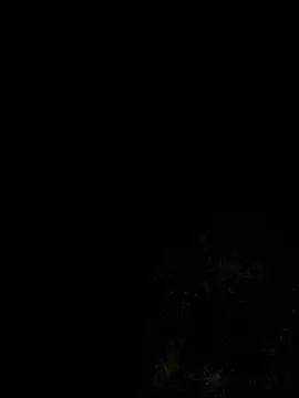 Webkamerová show salchichon_69