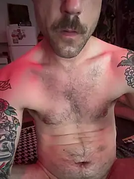 Show de ArtlessAldehyde na webcam