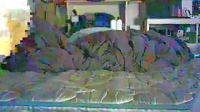 CR3M3_FIR3 Show Webcam
