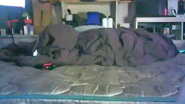 Show webcam de CR3M3_FIR3